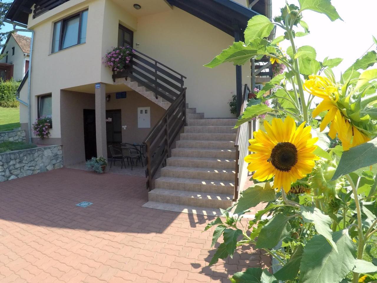 Apartment Ante Слуни Экстерьер фото